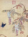 Butterfly and Chinese Wisteria Flowers
